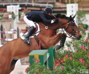 Układanka Koń i jeździec mijania przeszkód w konkursie skoków