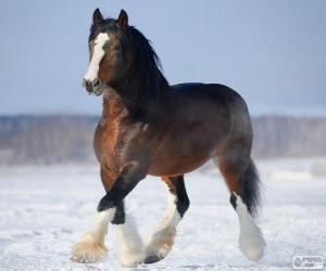 Układanka Koń włodzimierski pochodzących z Rosji