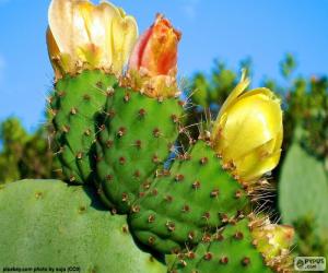 Układanka Kwiaty żółte kaktus