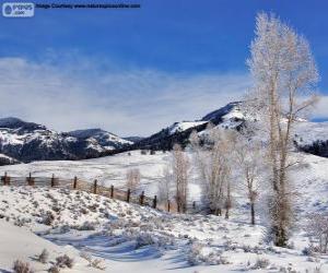 Układanka Lamar Valley, blisko Parku Narodowego Yellowstone, Wyoming, Stany Zjednoczone