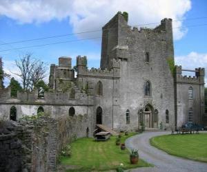 Układanka Leap zamek, Irlandia