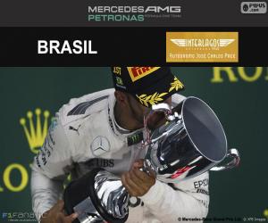 Układanka Lewis Hamilton, Grand Prix Brazylii 2016