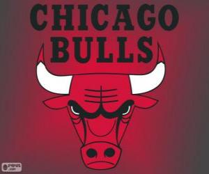 Układanka Logo Chicago Bulls, zespół NBA. Dywizja Centralna, Konferencja wschodnia