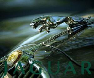 Układanka logo Jaguar, brytyjska marka samochodów luksusowych i sportowych samochodów