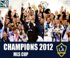 Układanka Los Angeles Galaxy, mistrz MLS Cup 2012