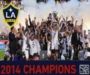 Układanka Los Angeles Galaxy, mistrz MLS 2014