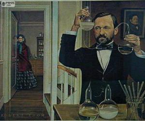 Układanka Louis Pasteur (1822-1895) – francuski chemik
