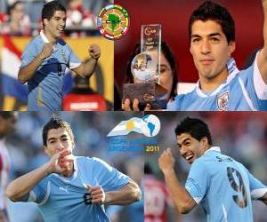 Układanka Luis Suarez najlepszym piłkarzem na Copa America 2011