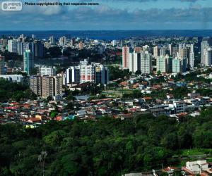 Układanka Manaus, Brazylia