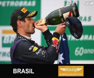 Układanka Mark Webber - Red Bull - Grand Prix Brazylii 2013, 2 ° sklasyfikowane