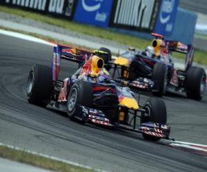 Układanka Mark Webber - Red Bull - Stambuł 2010