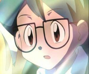 Układanka Max pojawia się jako towarzysz Ash, jest także młodszy brat maju i dołączyła do grupy Ash, May i hodowcy Pokémon Brock.