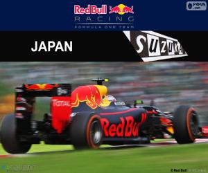 Układanka Max Verstappen, Grand Prix Japonii 2016