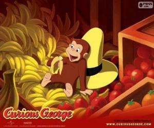 Układanka Małpa George jedzenie banana