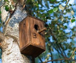 Układanka Mały dom drewna ptaków, które w okresie wiosennym