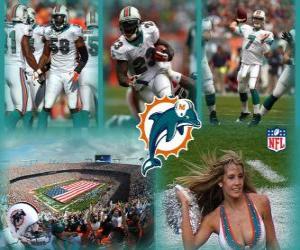 Układanka Miami Dolphins