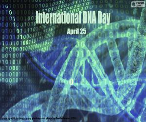 Układanka Międzynarodowy Dzień DNA