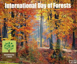 Układanka Międzynarodowy Dzień Lasów