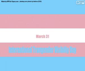 Układanka Międzynarodowy Dzień Widoczności Transseksualistów