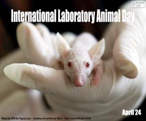 Układanka Międzynarodowy Dzień Zwierząt Laboratoryjnych