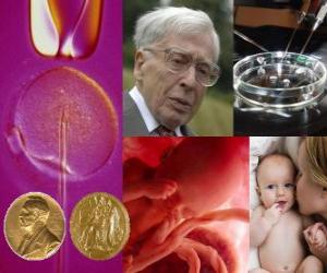 Układanka Nagroda Nobla w dziedzinie medycyny 2010 - Robert Edwards -