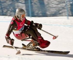 Układanka narciarz Paraolimpijskich w konkurencji slalom