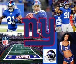 Układanka New York Giants