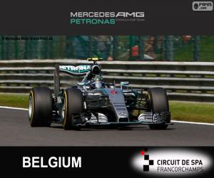 Układanka Nico Rosberg, GP Belgii 2015