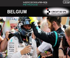 Układanka Nico Rosberg, Grand Prix Belgii 2016