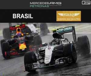 Układanka Nico Rosberg, Grand Prix Brazylii 2016