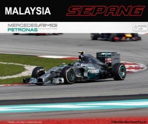 Układanka Nico Rosberg - Mercedes - Grand Prix Malezji 2014, 2 ° sklasyfikowane