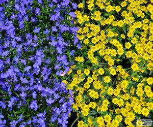 Układanka Niebieskie i żółte kwiaty