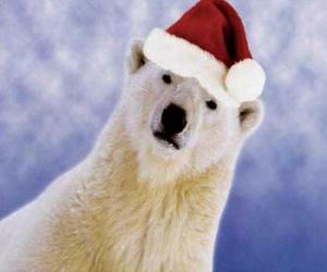 Układanka Niedźwiedź polarny z Święty Mikołaj kapelusz