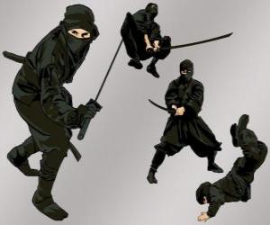 Układanka Ninja w różnych pozycjach