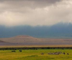 Układanka Norongoro - Tanzania -