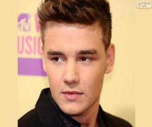 Układanka One Direction, Liam Payne
