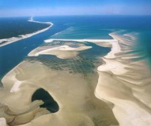 Układanka Park Narodowy Banc d&#039;Arguin, położone wzdłuż wybrzeża Atlantyku. Mauretania.