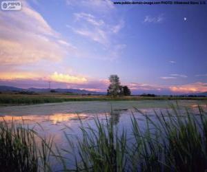 Układanka Park Narodowy Metcalf Lee, Montana, Stany Zjednoczone Ameryki