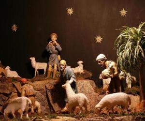 Układanka Pasterze znaków Narodzenia