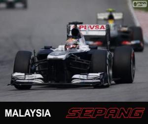 Układanka Pastor Maldonado - Williams - Sepang 2013