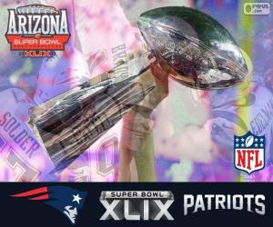 Układanka Patriots, Super Bowl 2015 Mistrzów
