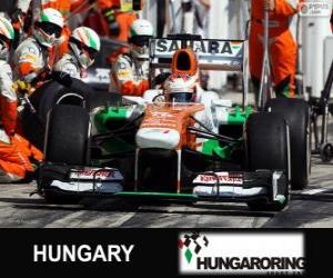 Układanka Paul di Resta - Force India - Hungaroring, 2013