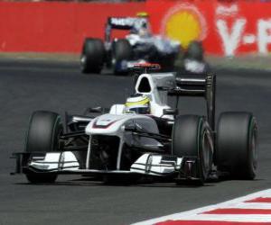 Układanka Pedro de la Rosa - Sauber - Silverstone 2010