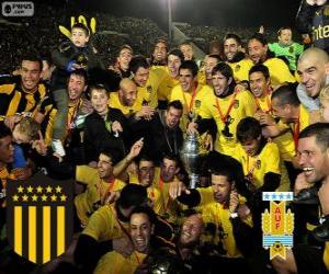 Układanka Peñarol Montevideo, mistrz pierwszej ligi piłki nożnej 2012-2013, Urugwaj