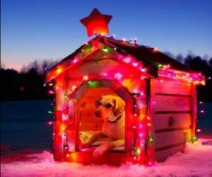 Układanka Pies domowy urządzony dom na Boże Narodzenie