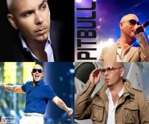Układanka Pitbull (Armando Christian Perez), amerykański producent muzyczny pochodzenia kubańskiego