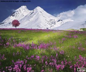 Układanka Pięknej scenerii Alp