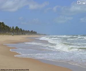 Układanka Plaża Imbassai, Brazylia