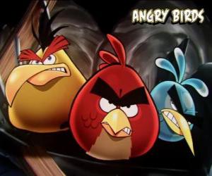 Układanka Pozostałe trzy ptaki od gra komputerowa Angry Birds