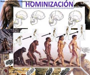 Układanka Proces hominizacji